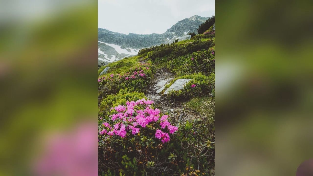 Parangfjellene
