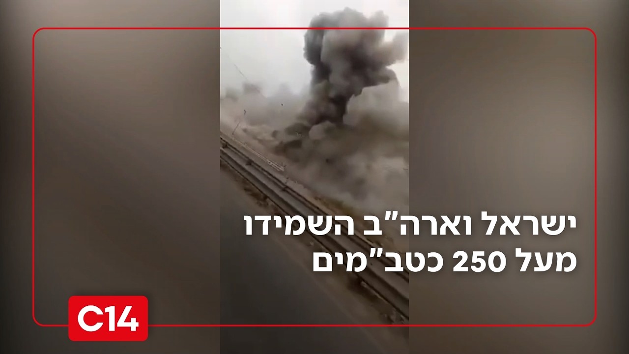 שאגת הארי: מעל 250 כטב