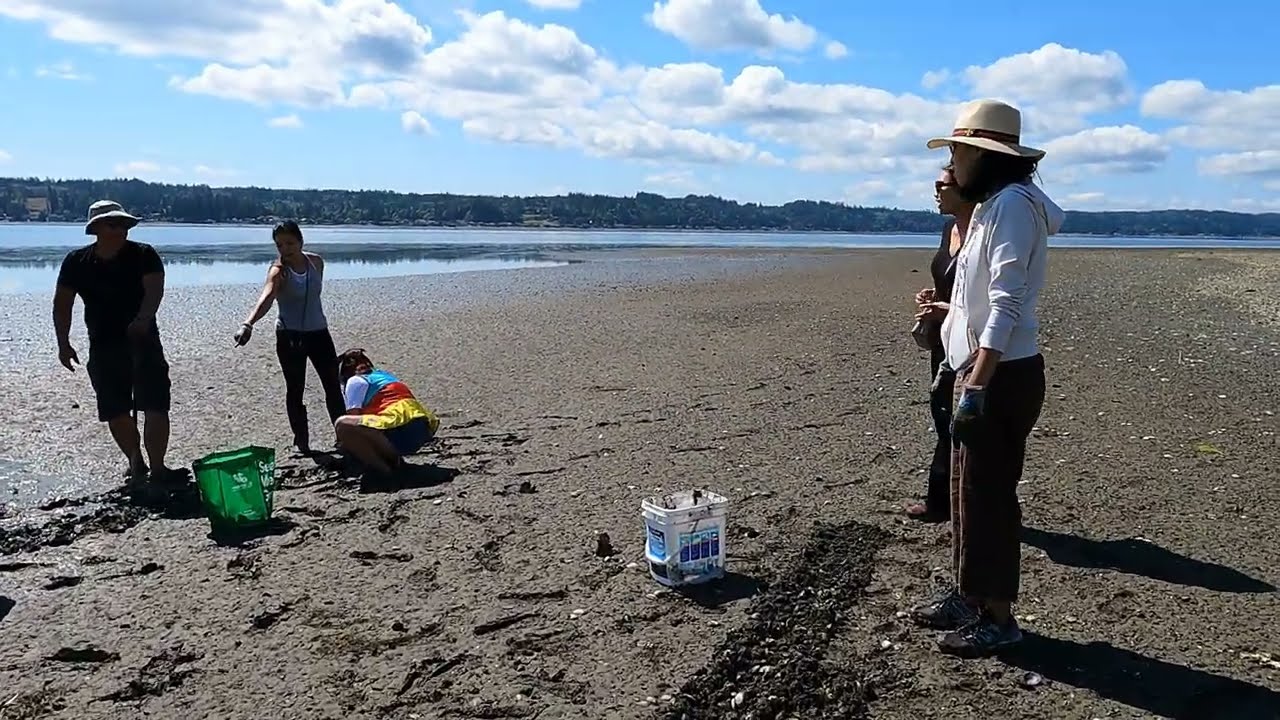 Easiest Clam Digging - Belfair - Hood Canal.