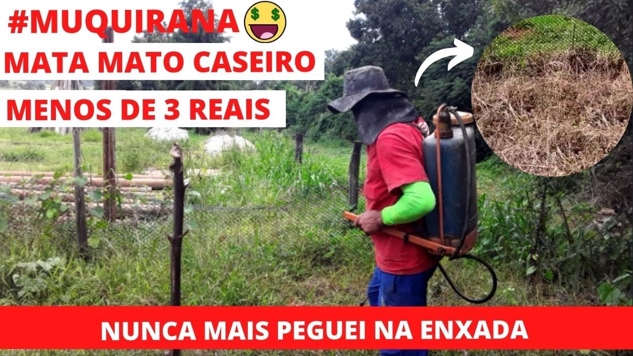 Mata mato caseiro - simples  que todo mundo tem em casa!
