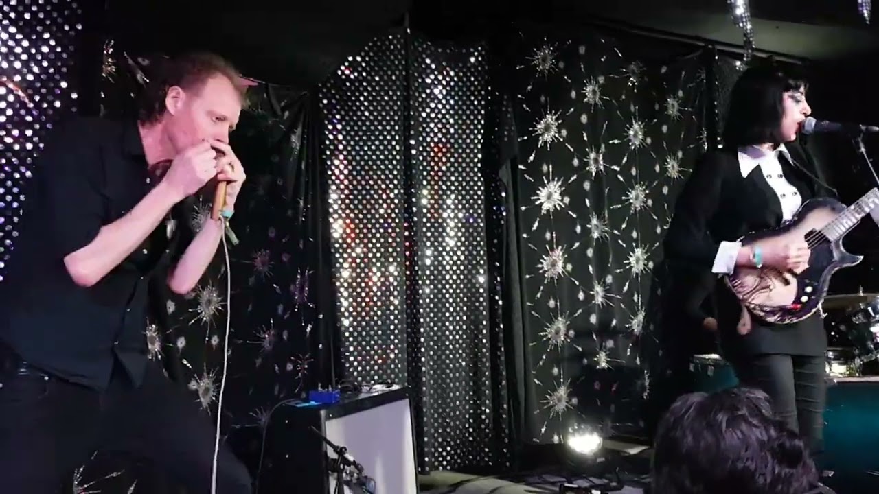 The Jackets (feat. Bone) live by Cathimini (Wild Weekend 2023)