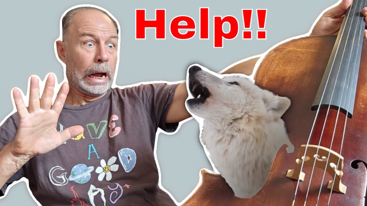 Как исправить Wolf Note.