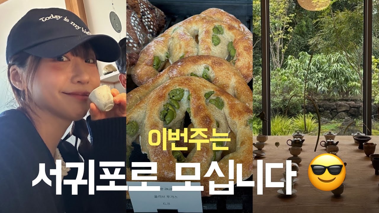 서귀포에서 놀 사람? 빵, 밥, 카페, 책~ 풀코스 따라와🐥✨ / 과음주의 해수육장 / 찻잔 하울