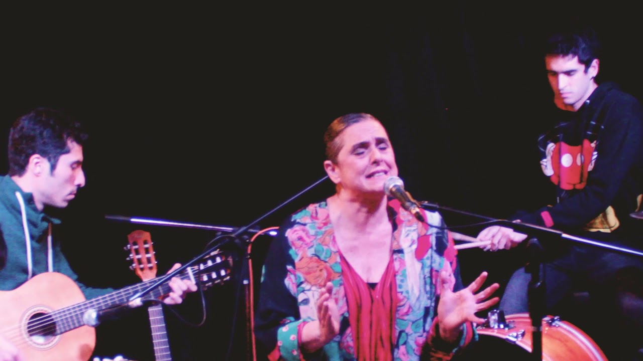 Cecilia Toussaint - Cronología (En Vivo)