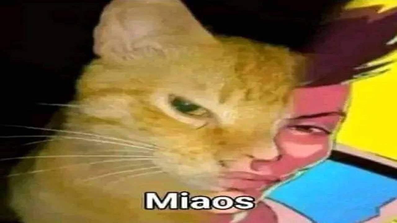33 de minutos de puro meme de buena calidad Shitposting Compilation 28 haciendo 