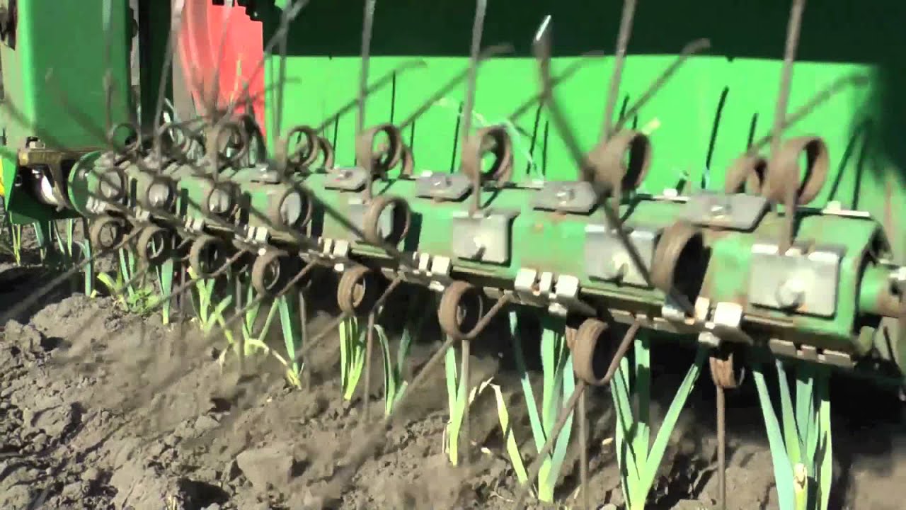 Weedingmachine 9 rows Christiaens