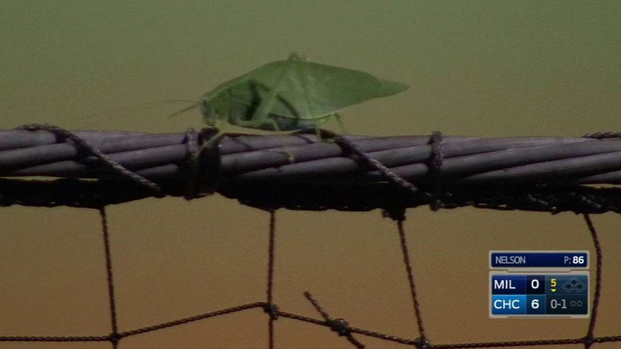 MIL@CHC: Brewers' booth checks out a grasshopper