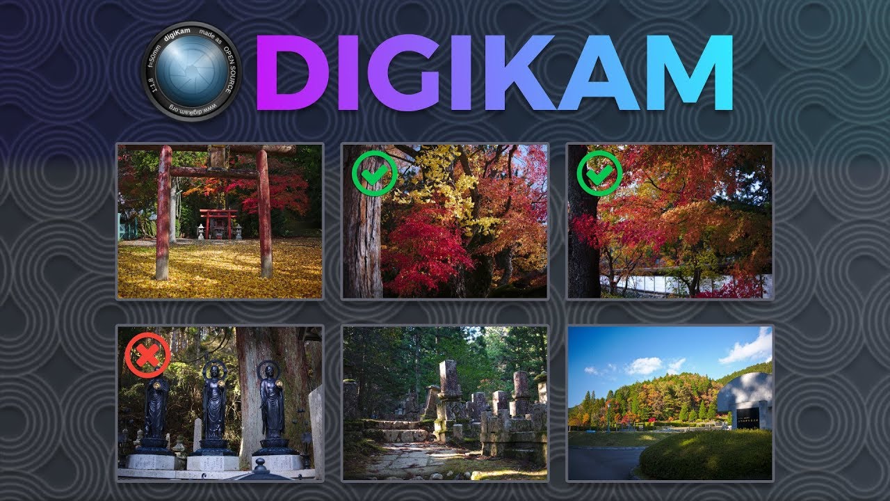 Как организовать свои фотографии с помощью Digikam (вводное руководство)