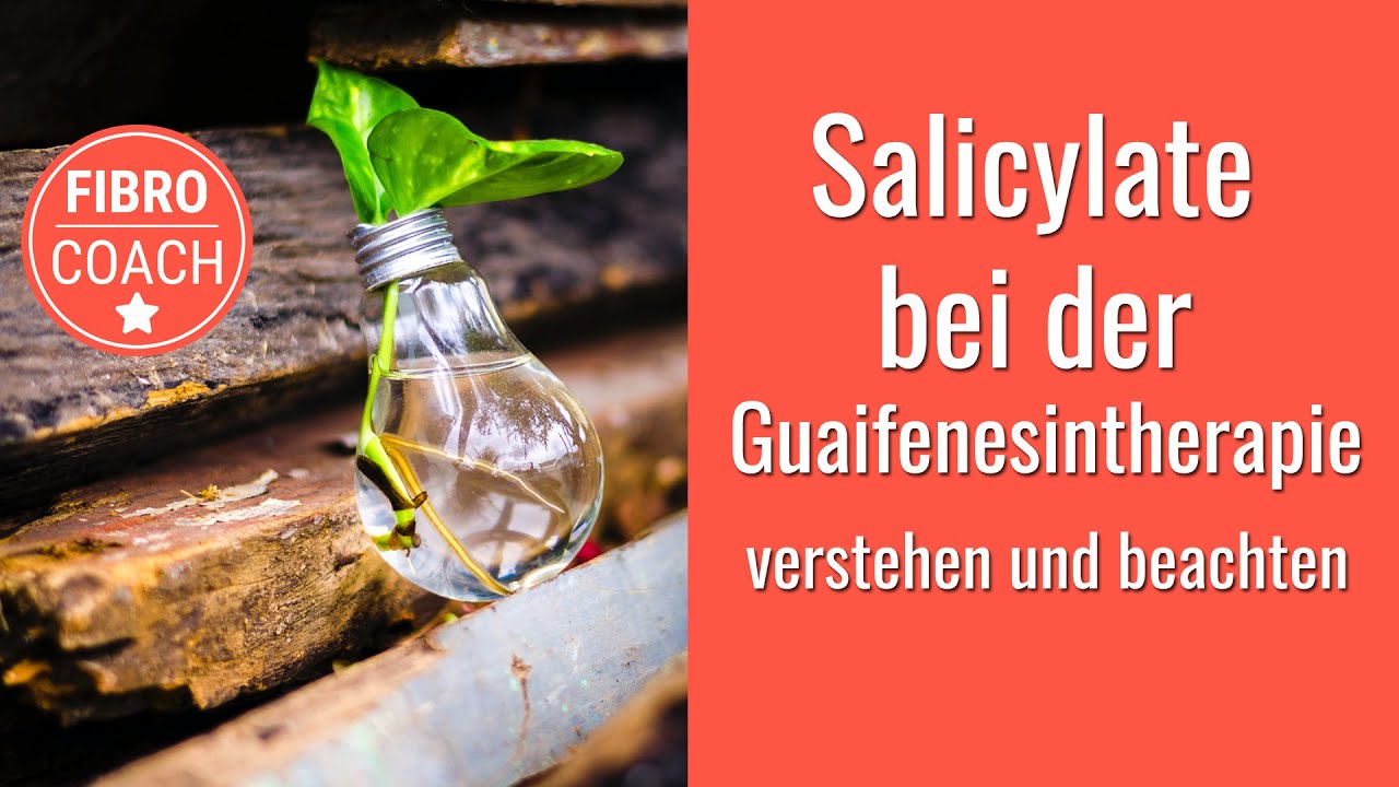 Salicylate bei der Guaifenesintherapie verstehen und beachten