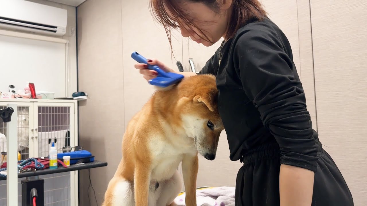 なんで落ち込むのよw