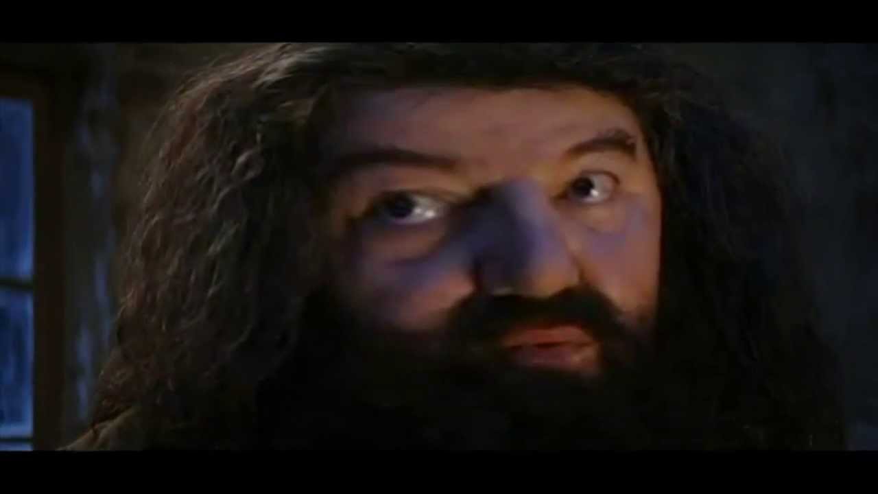 You're a Wizard Harry (Dubstep Remix)