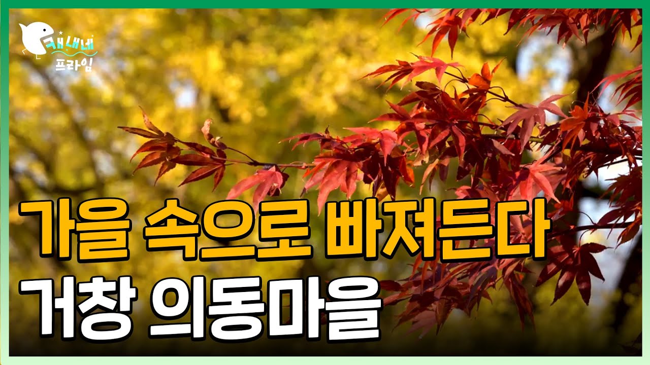 거창의 가을 속으로 빠져든다 | 거창 의동마을 | 위대한유산 100경