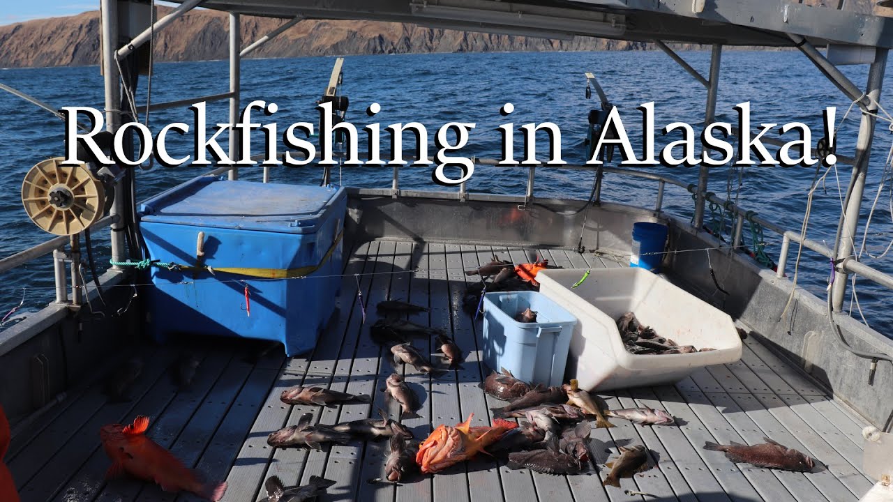 First Jig Trip on the Emerald Isle! | Rock Fish Jigging