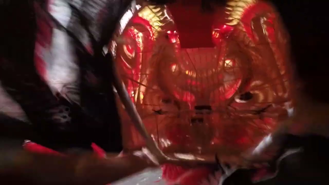 Lion Dance Inside Head POV