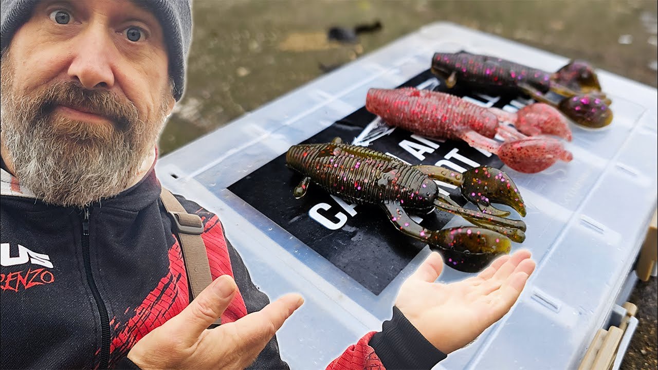 Master These Creature Bait Rigs and Catch More Fish