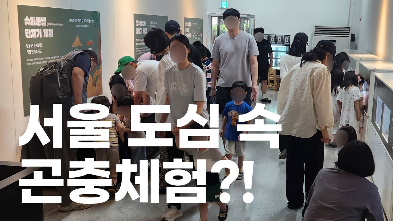 곤충을 사랑하는 친구들 얼른 오세요! 꿈도미가 운영하는 서울 영등포 곤충체험장, YDP 곤충체험학습관!