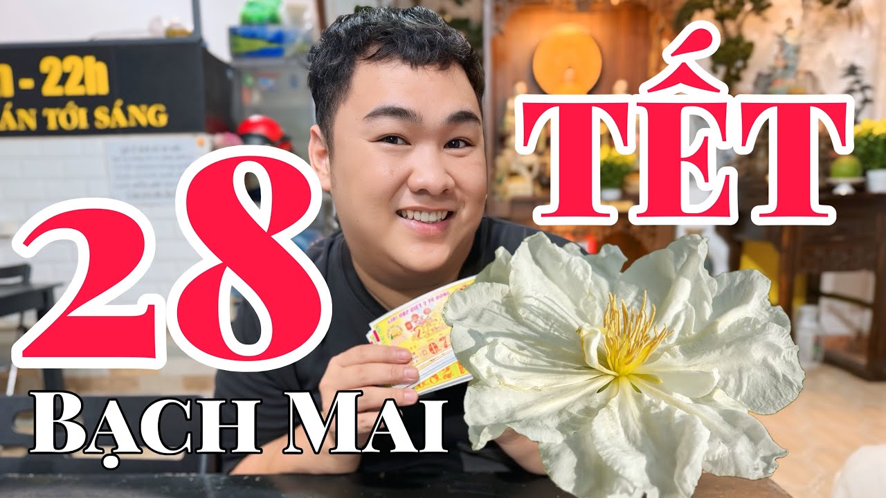  CÔ Ú Mua VÉ SỐ - 28 TẾT Đi Chợ HOA - Cây BẠCH MAI ĐỘC LẠ BÌNH DƯƠNG 