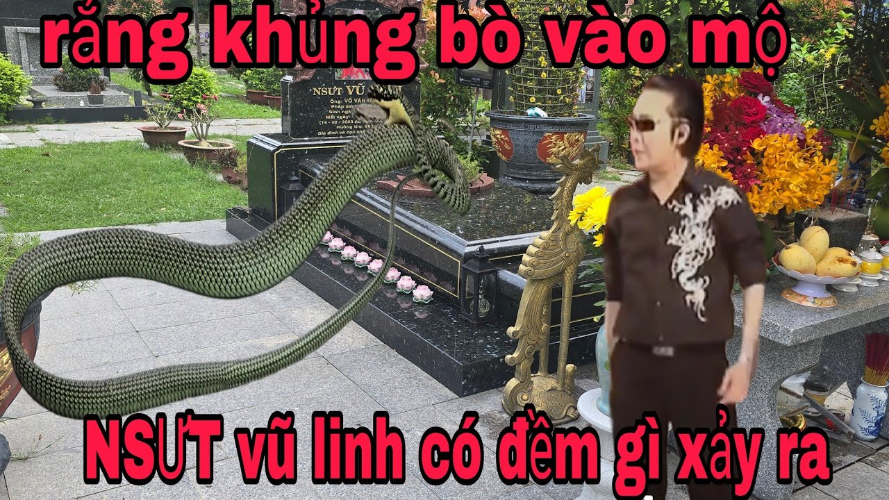 Phát hiện rắng khủng bò vào mộ nsut vũ linh có chuyện gì xảy ra không đây 