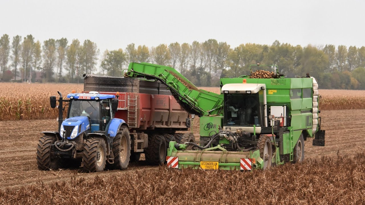 AVR Puma & New Holland T7.270 + T7040 & Record - aardappelen rooien
