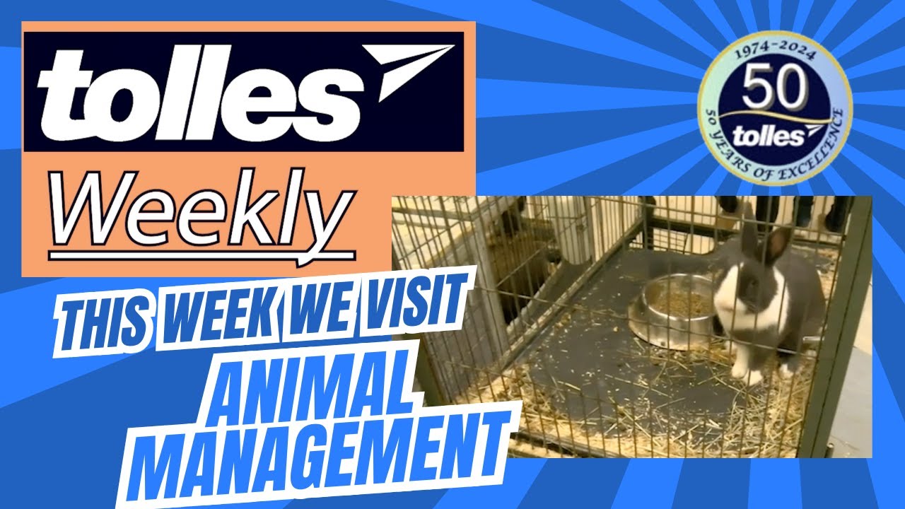 Tolles Weekly: Wild Learning - Exploring the Animal Management Lab!