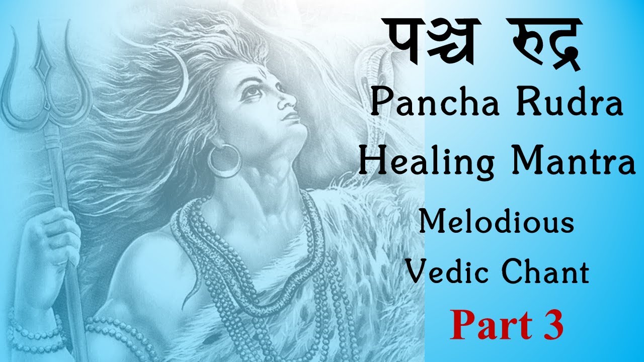 Vedic Chant from Pancha Rudram | Part 3/4 | Rig Veda | Ghana Patha | Sri K. Suresh