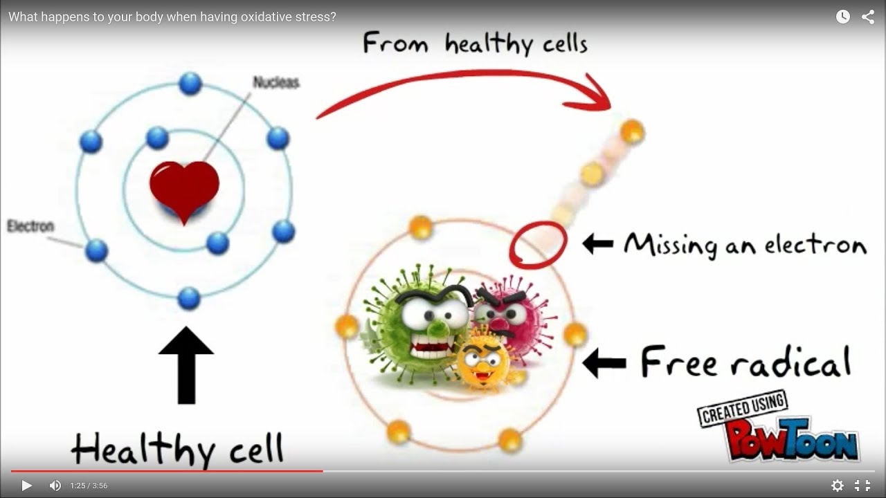 What happens to your body when having oxidative stress?