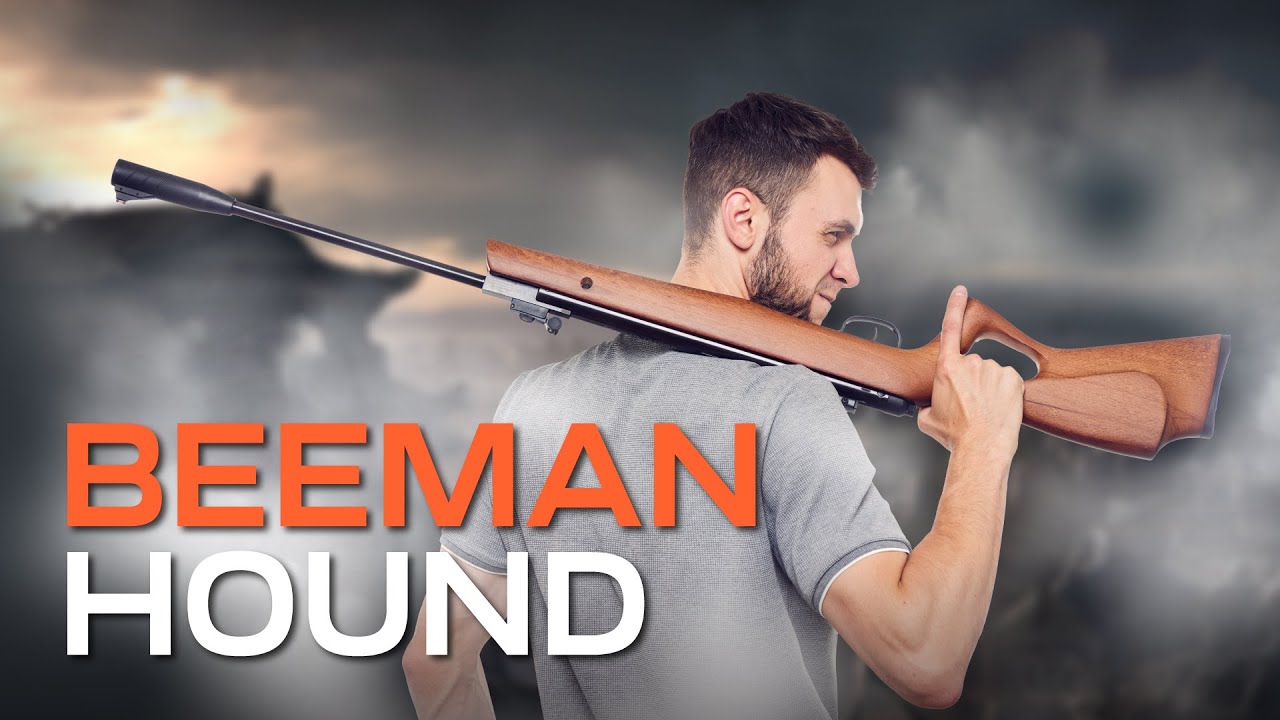 Огляд пневматичної гвинтівки Beeman Hound