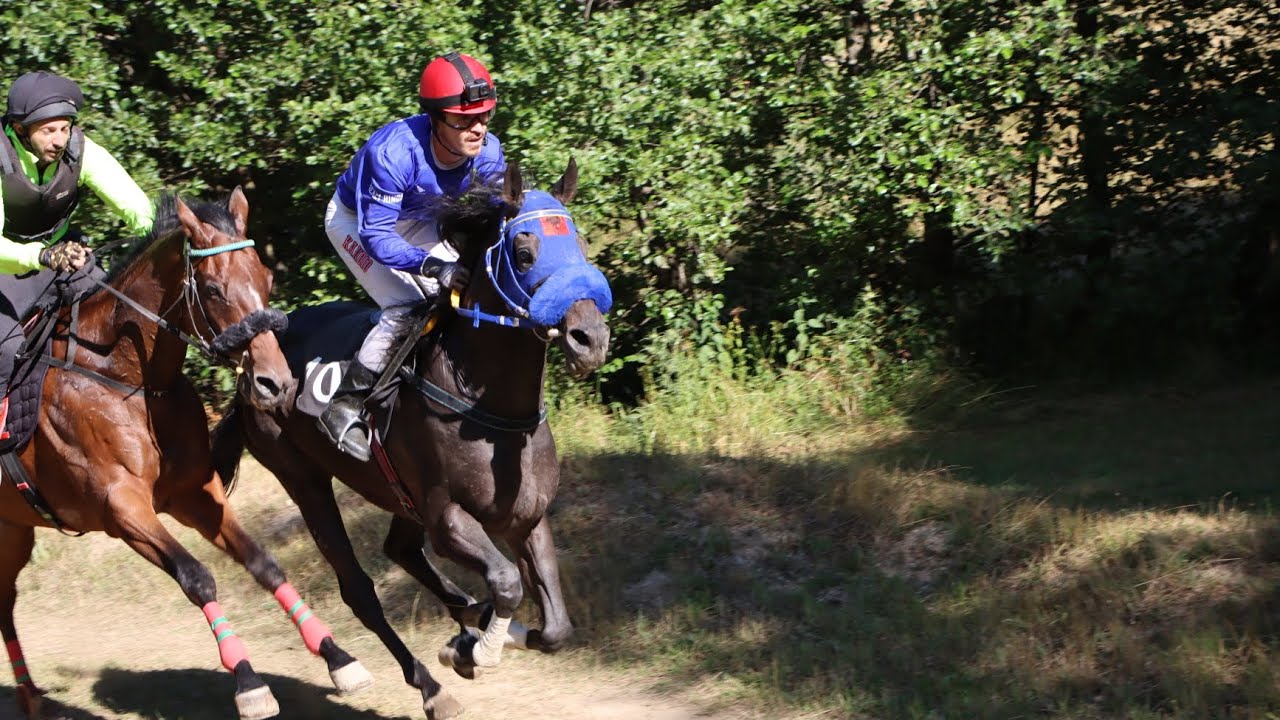 Shishtavec , Gara e Kuajve 01.08.2024