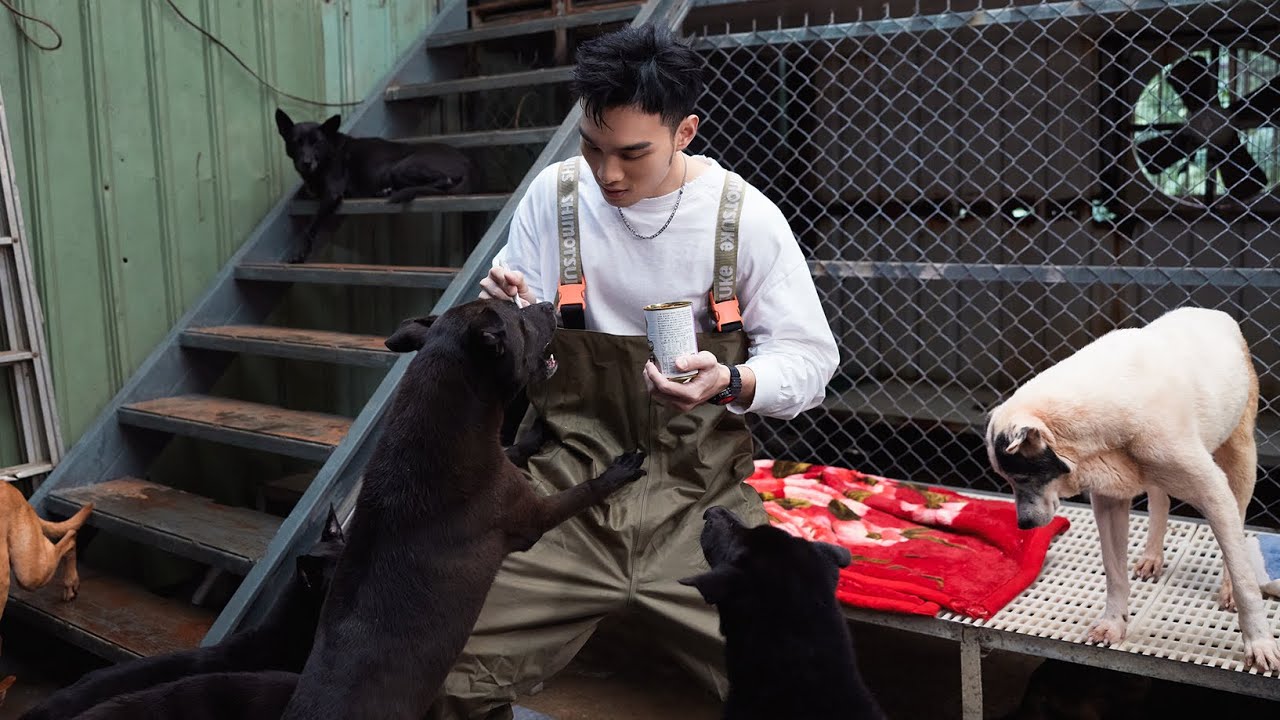 五堅情團員們照顧動物的分享 [ 2022愛最大 讓愛永續 ] - 花絮