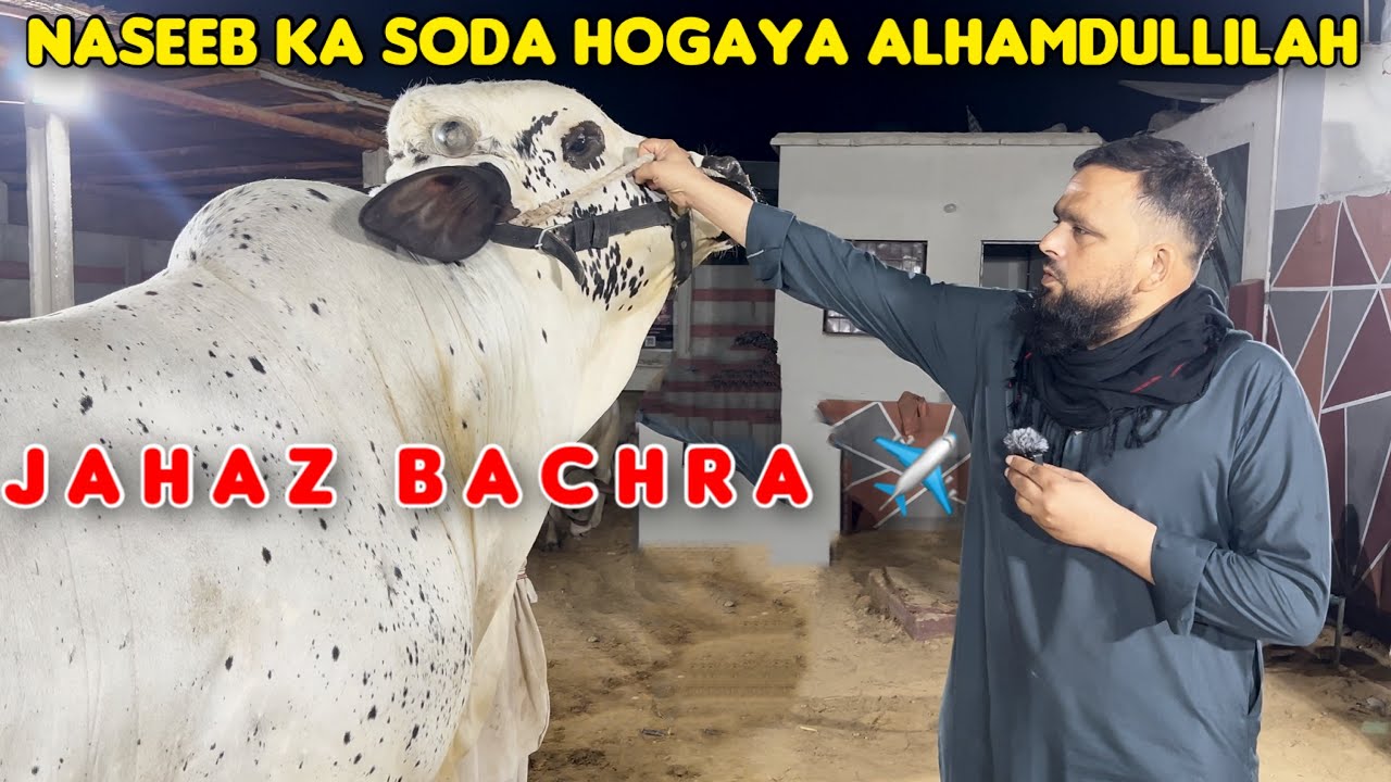 ALHAMDULLILAH 1 Aur Naseeb Ka Soda Memon Darwaza Kholo Memon🤣