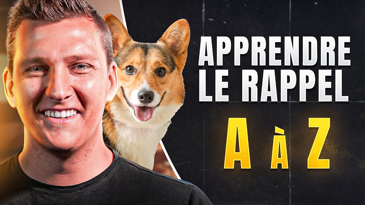 Comment Apprendre le RAPPEL pour chien de A à Z (GUIDE COMPLET)