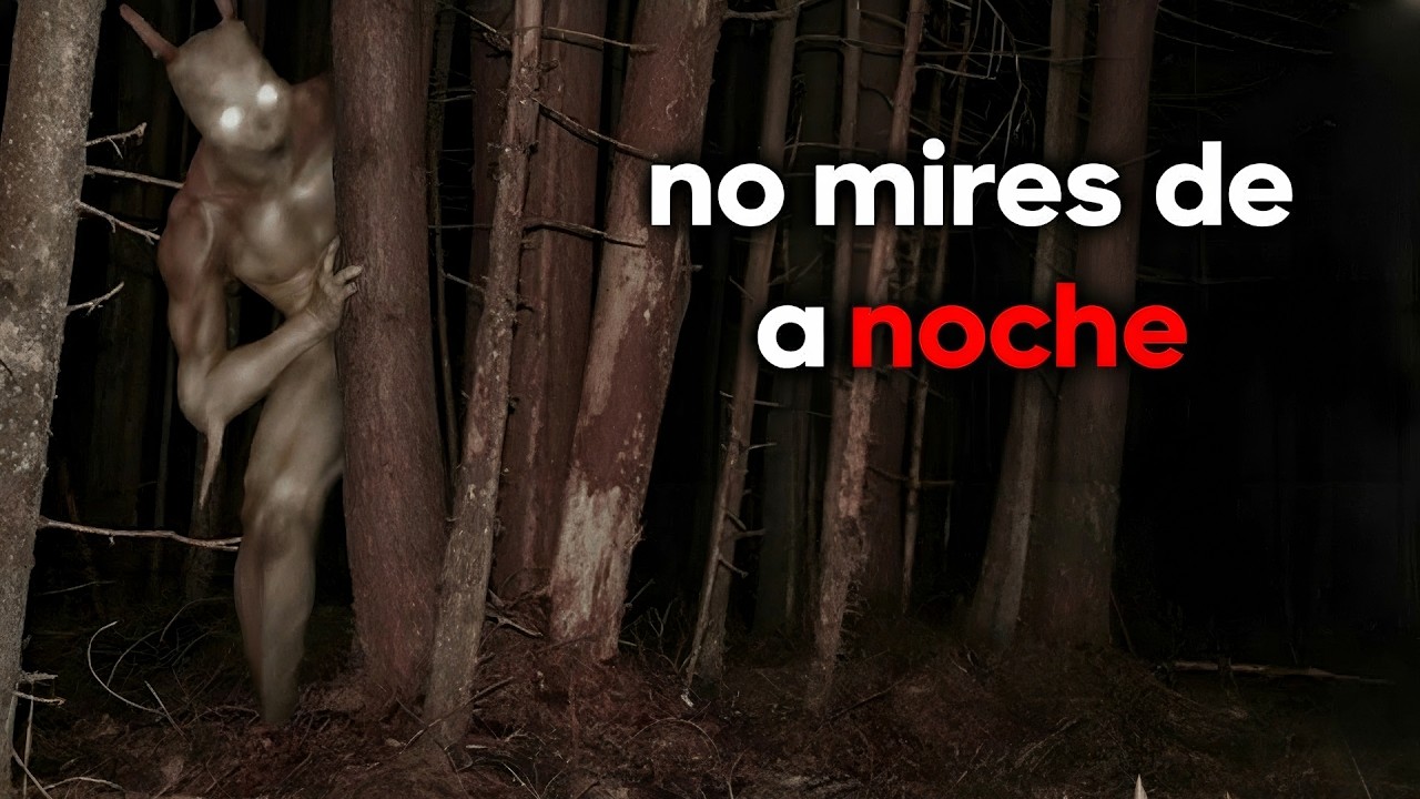 6 Encuentros en el Bosque CAPTADOS EN CÁMARA
