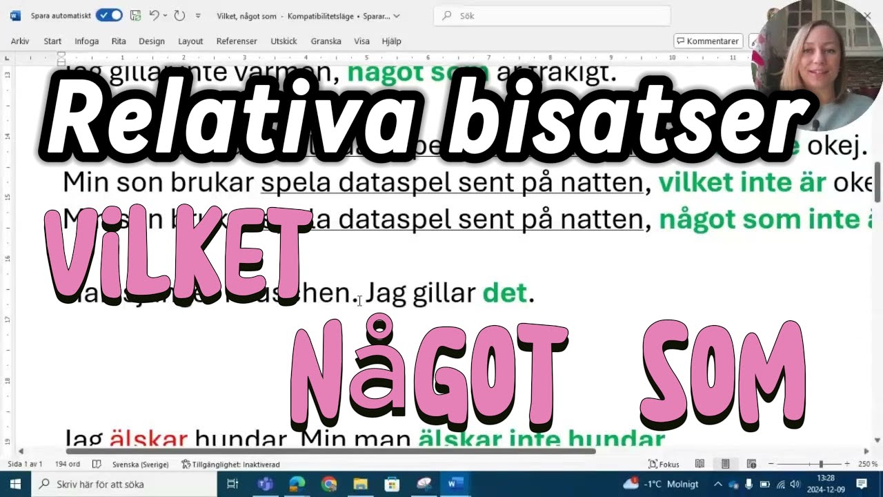 SVA grund - Relativa bisatser - vilket/något som