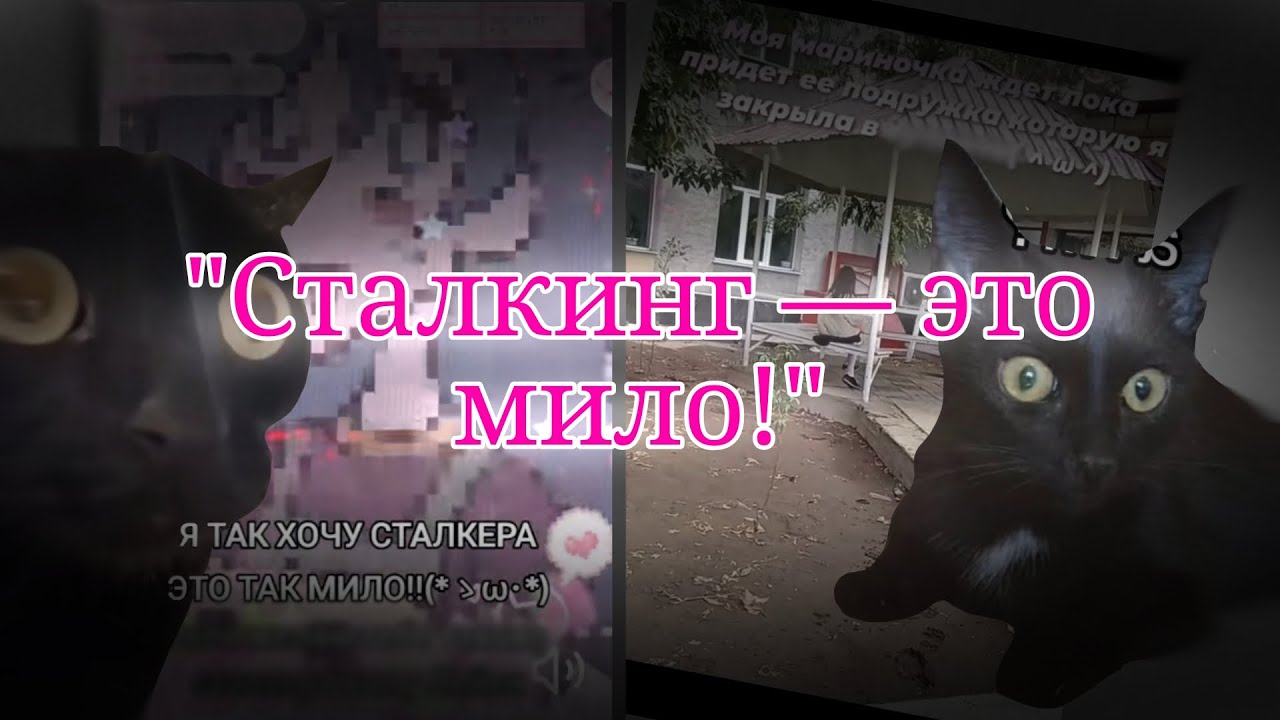 Малолетние сталкеры🙉