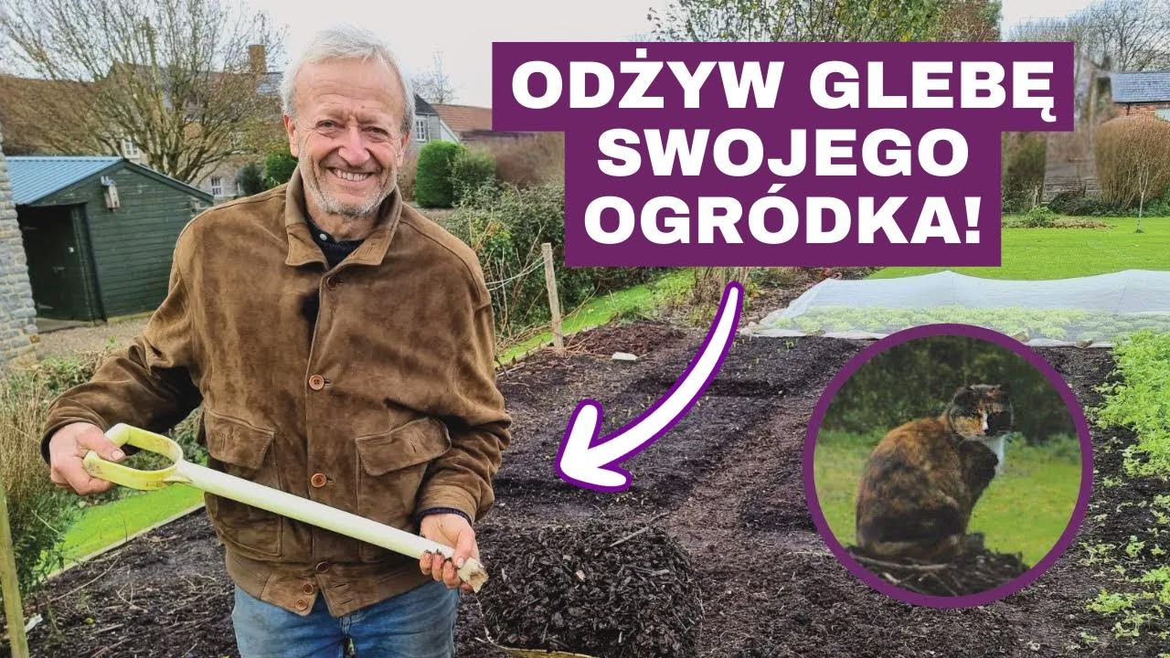 Dlaczego używać drewna iglastego na ściółkę ścieżkową?