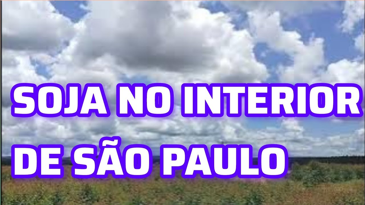 A SOJA NO INTERIOR DE SÃO PAULO... ESTÁ MUITO BOA .@jmclimaeprevisao 