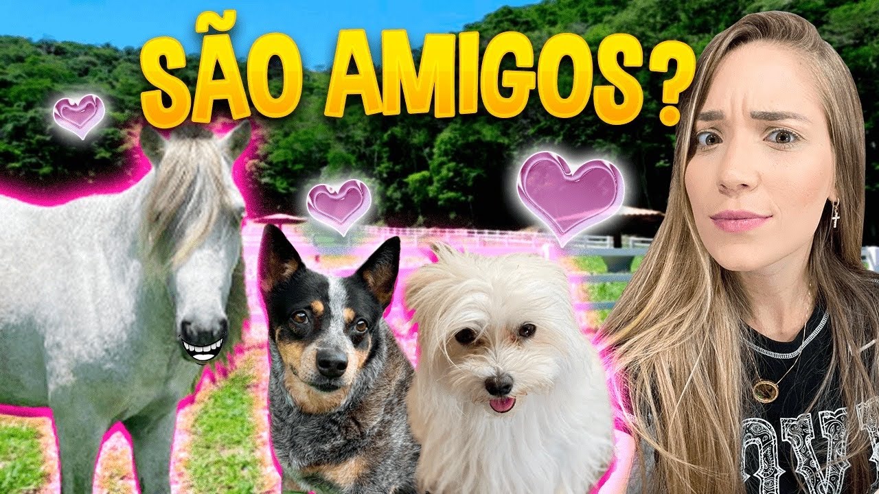 FIM DE SEMANA COM MEUS CAVALOS E CACHORROS