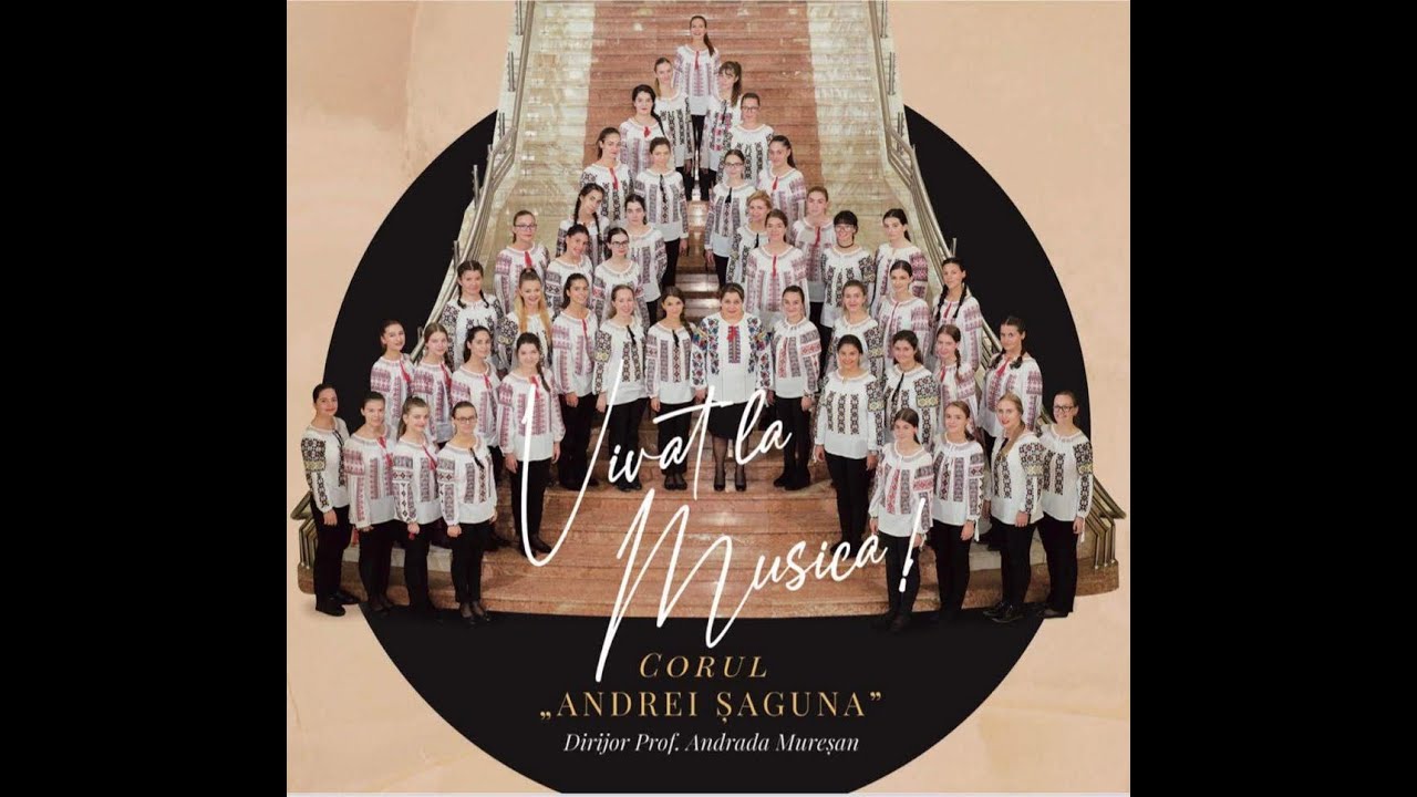 Corul Colegiului Național „Andrei Șaguna” - You Raise Me Up (Quarantine Cover)