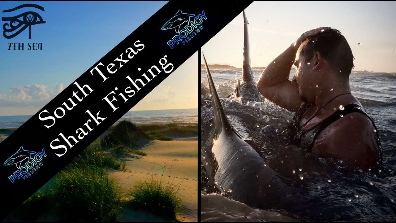 South  Texas  Shark Fishing (7th Sea and Prodigy Fishing picking up the camera again!)