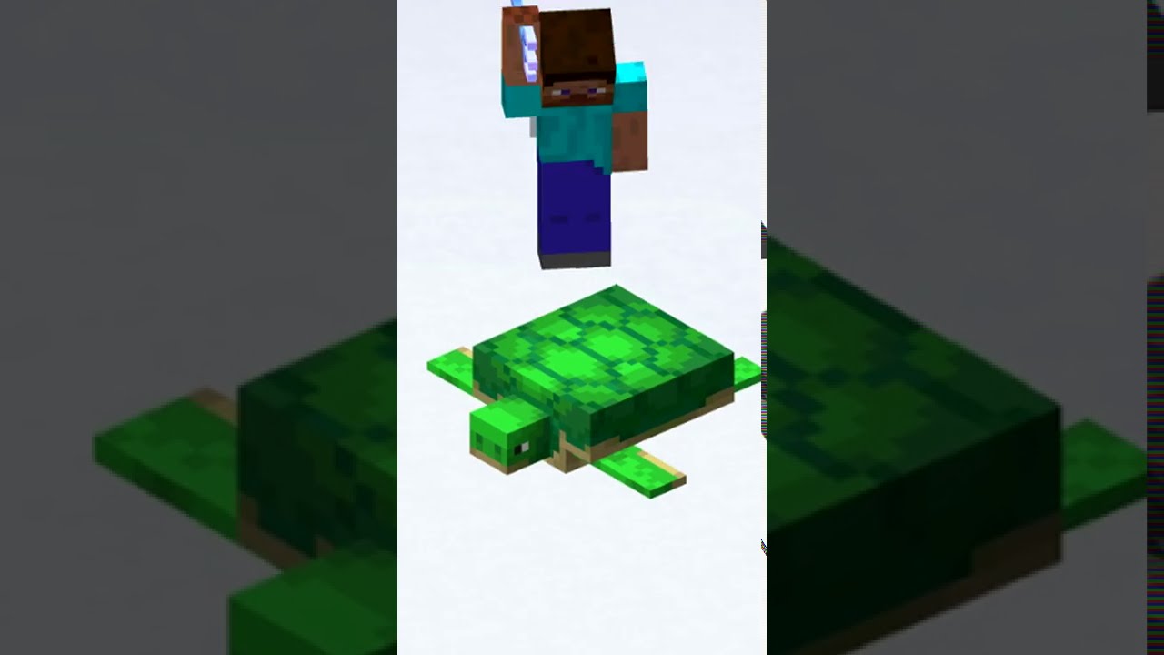 Minecraft Turtle FACTS