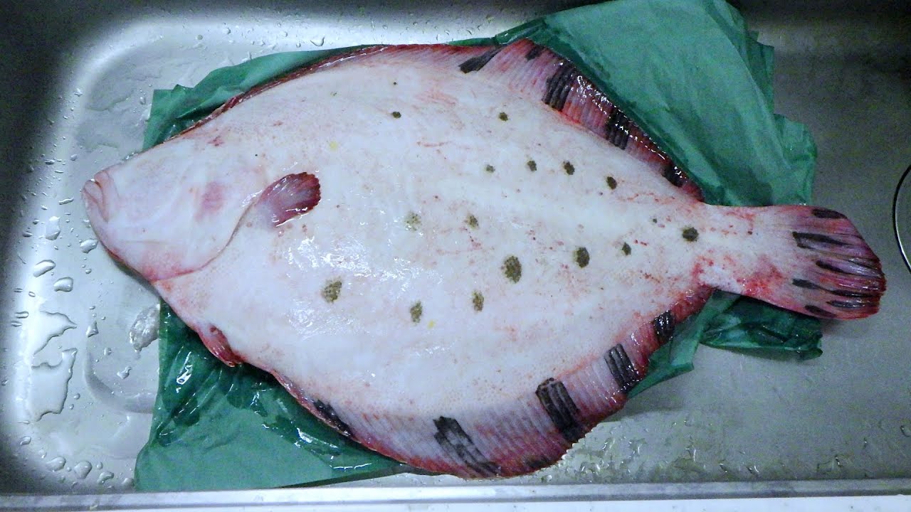 趣味の料理　松皮　2025 12 24
