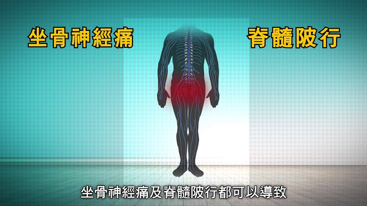 腰骨痛 Low Back Pain