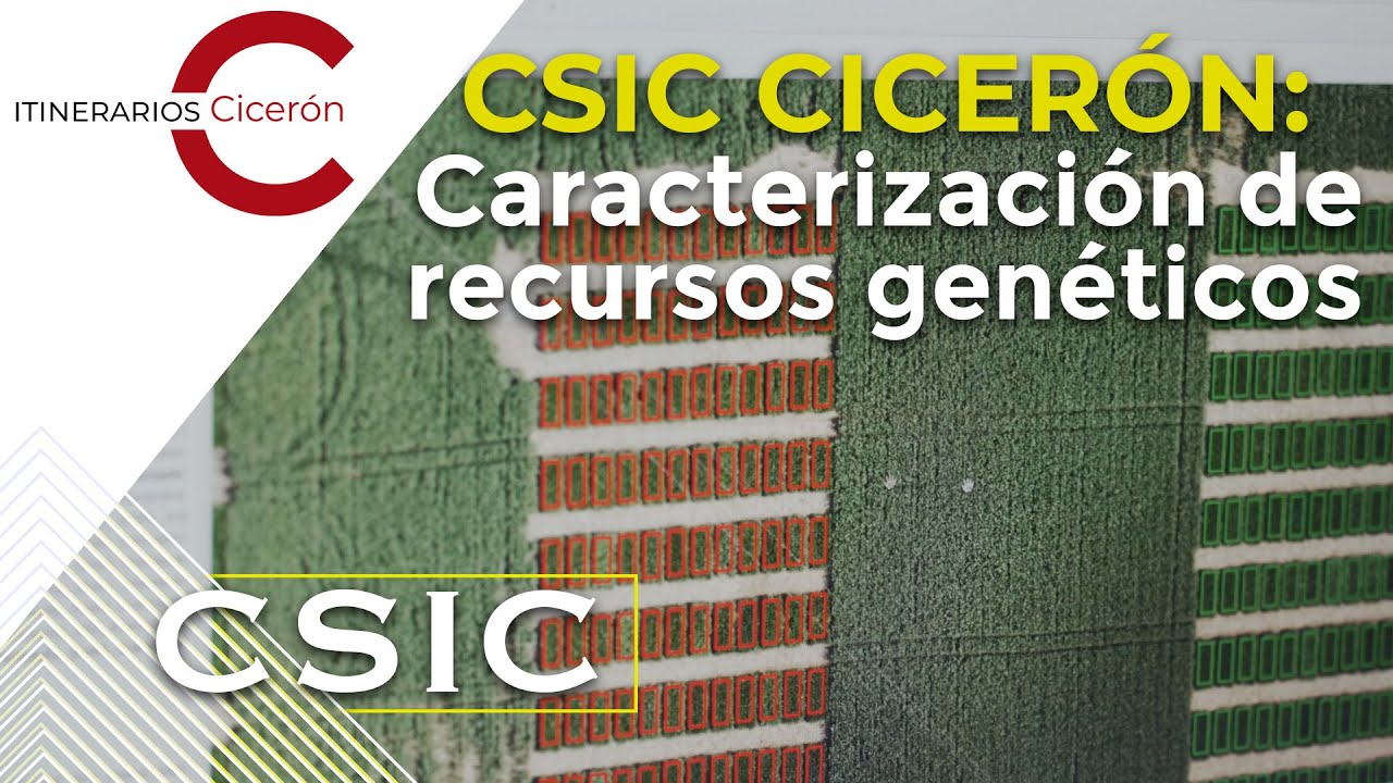 CSIC Cicer&oacute;n 19.1 Caracterizaci&oacute;n de recursos gen&eacute;ticos: nuevas tecnolog&iacute;as. Jos&eacute; Antonio Jim&eacute;nez
