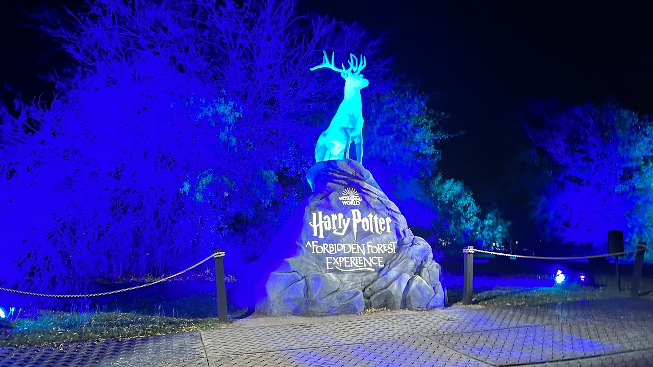 Harry Potter: A Forbidden Forest Experience VLOG