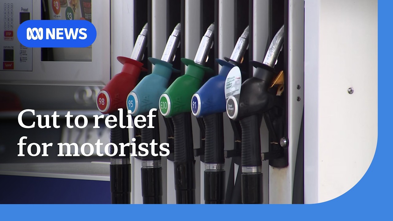 Petrol prices could rise slightly after government halves fuel excise discount | ABC NEWS