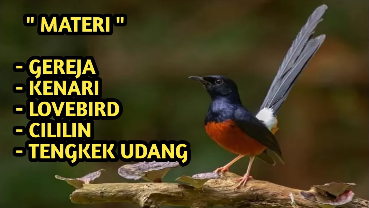 MATERI MASTERAN MURAI 