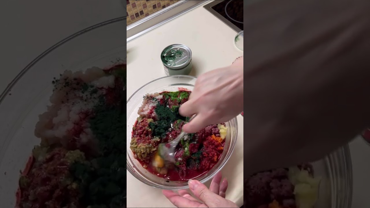 Фарш для дискусов своими руками