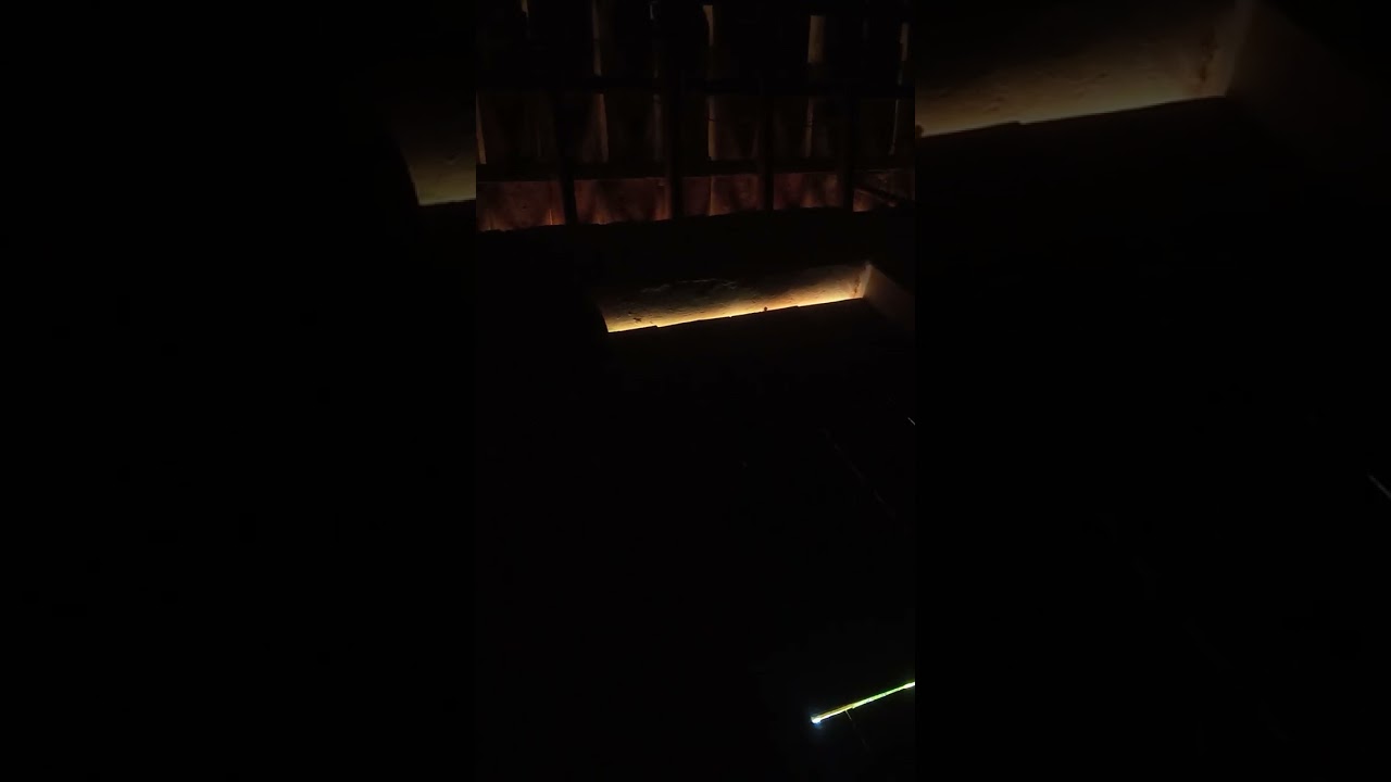 Day 330: English practicing - 11/02/2026