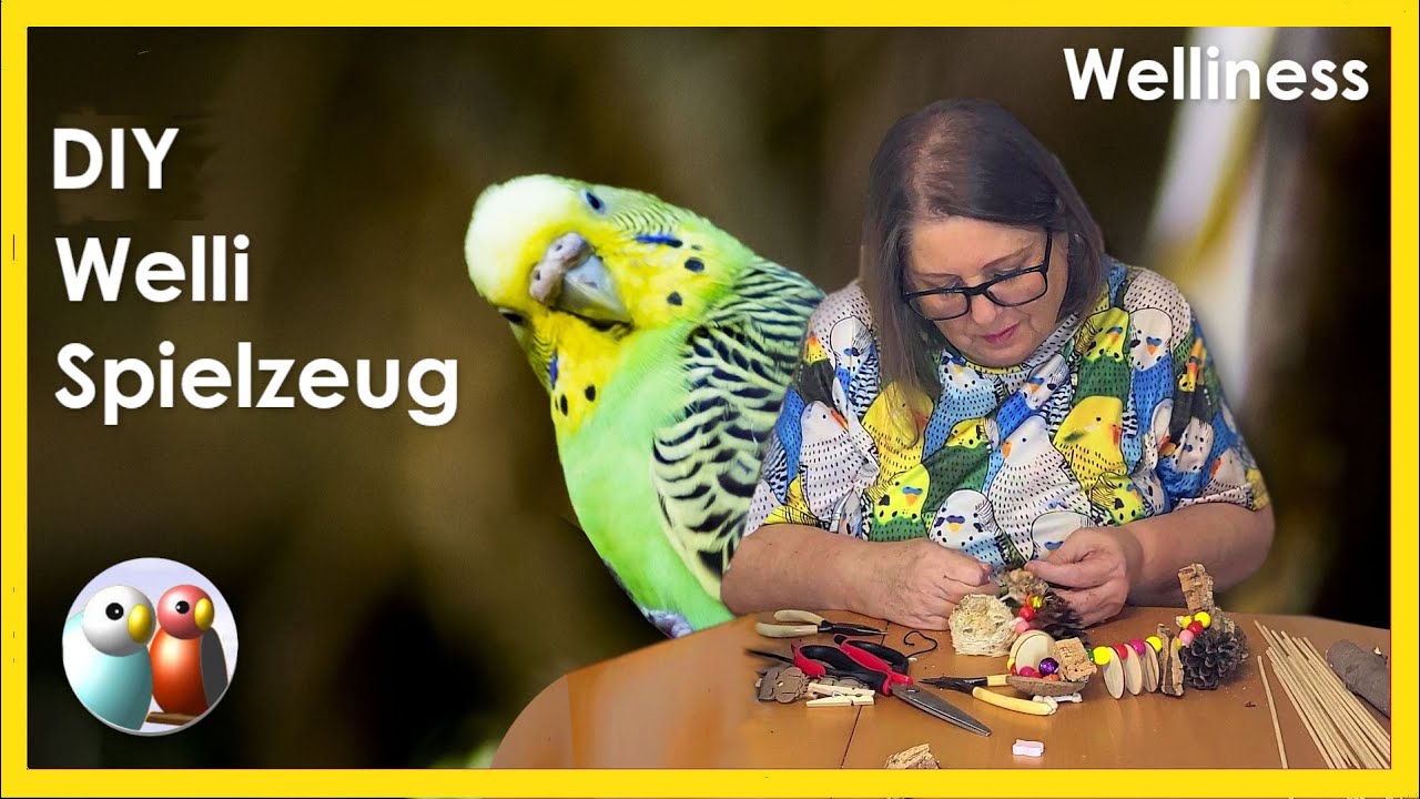 DIY Recycling, 7 tolle Spielsachen für deine Wellensittiche