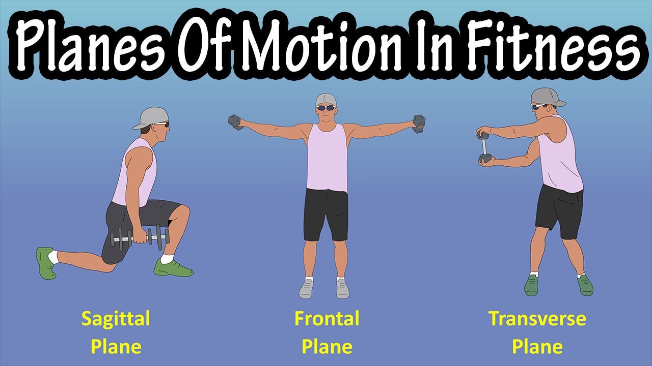 Importance Of The Planes Of Motion (Sagittal Plane, Frontal Plane, Transverse Plane) In Fitness
